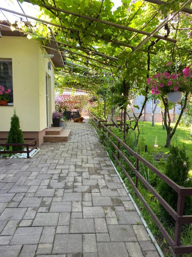 Casa Lui Mamaia Hotel Constanţa Esterno foto